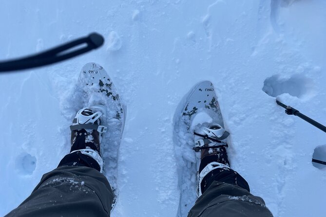 Snowshoeing and Onsen Adventures in a Winter Wonderland -Sapporo. - Forest trails, powder, and changing routes