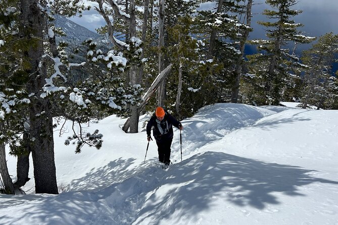 Snowshoeing at The Top of The Sea to Sky Gondola - From Vancouver to the Sea to Sky Highway