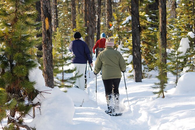 Snowshoeing at The Top of The Sea to Sky Gondola - What the $138.20 price really covers
