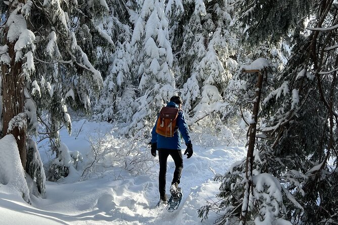 Snowshoeing at The Top of The Sea to Sky Gondola - Who will enjoy this snowshoe outing most