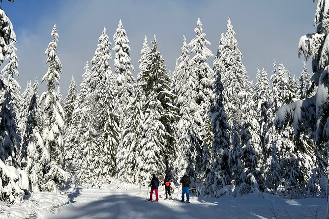 Snowshoeing at The Top of The Sea to Sky Gondola - Booking, cancellation, and useful planning details