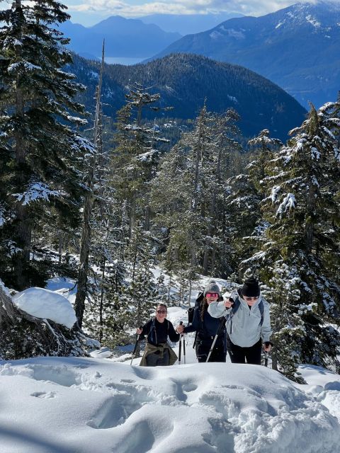 Snowshoeing At The Top Of The Sea To Sky Gondola - Flexible booking for uncertain weather