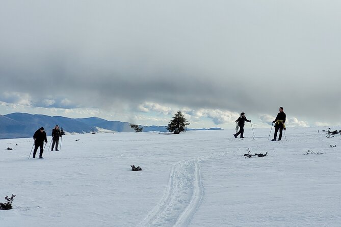 Snowshoeing Fun Tour from Cluj Napoca - A hot drink at the right moment