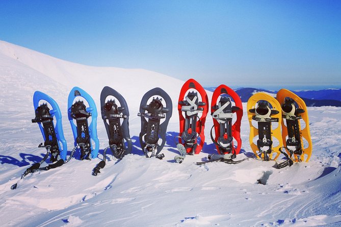Snowshoeing Fun Tour from Cluj Napoca - What Tudor adds to the outing