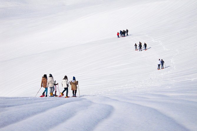 Snowshoeing Fun Tour from Cluj Napoca - Who will enjoy this winter outing?