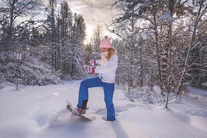 Snowshoeing Fun Tour from Cluj Napoca - Timing, group size, and practical planning