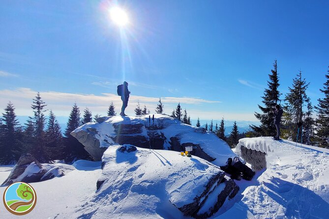 Snowshoeing Fun Tour from Cluj Napoca - Snowshoes make the winter walk possible