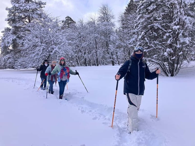 Snowshoeing in Bakuriani, Caucasus Mountains - Key points to know before you go