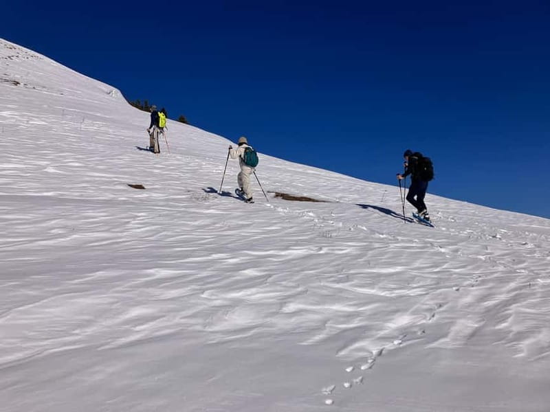 Snowshoeing in Bakuriani, Caucasus Mountains - Snowshoeing in Bakuriani means more than a forest walk