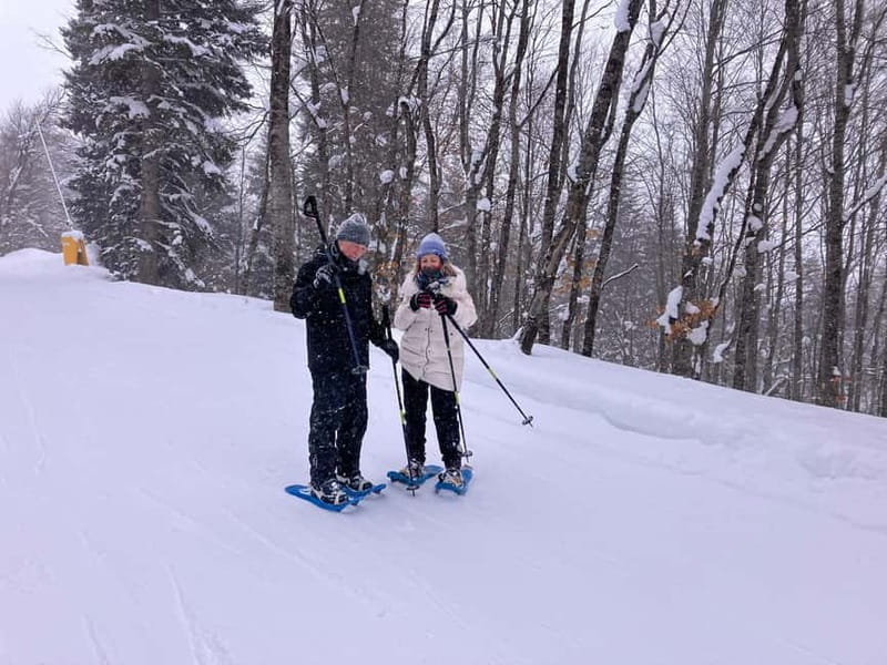 Snowshoeing in Bakuriani, Caucasus Mountains - Pine trees, old villages, and snowy Caucasus views