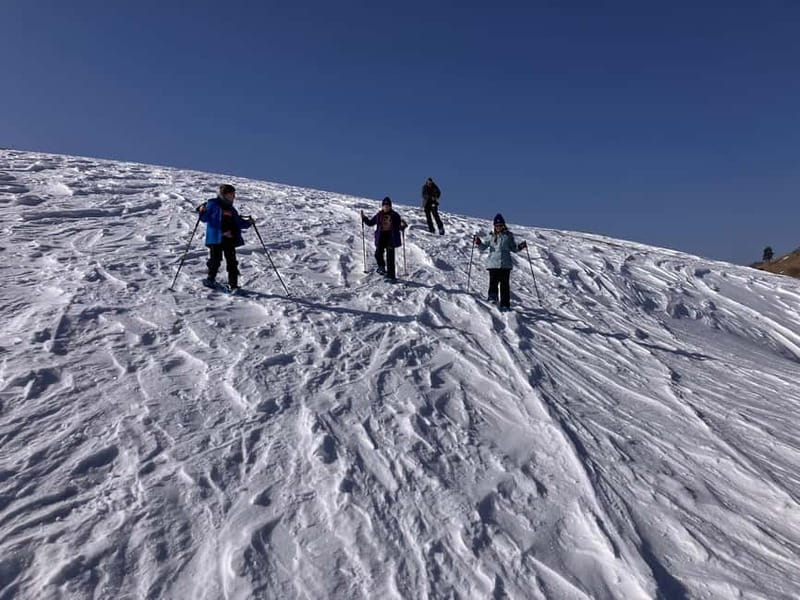 Snowshoeing in Bakuriani, Caucasus Mountains - What the guides add to the day