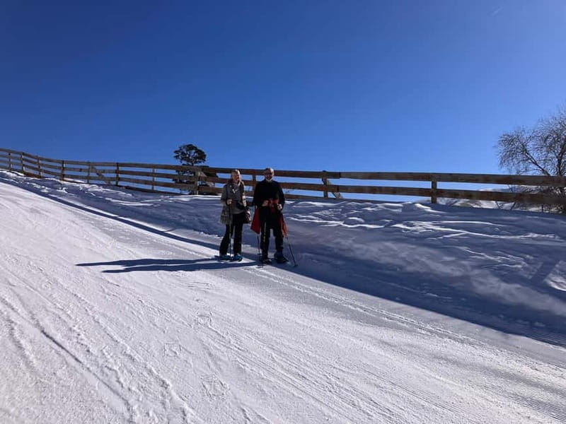Snowshoeing in Bakuriani, Caucasus Mountains - Who will enjoy this snowshoe tour