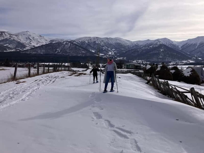 Snowshoeing in Bakuriani, Caucasus Mountains - Practical details that affect your decision