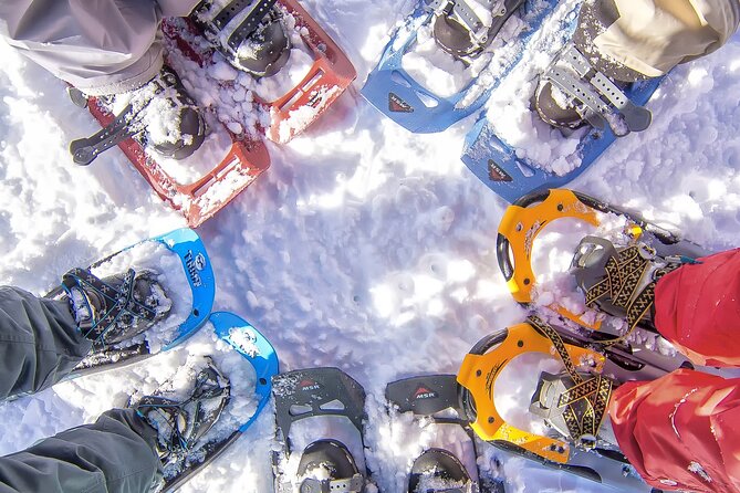 Snowshoeing in Chamonix, with a private guide - Key points at a glance