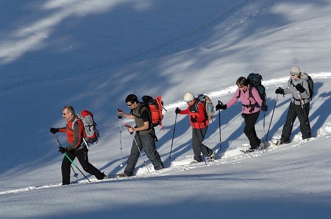 Snowshoeing in Chamonix, with a private guide - Price and value at $465.79 per person