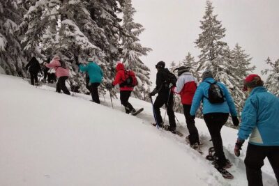 Snowshoeing in Chamonix, with a private guide