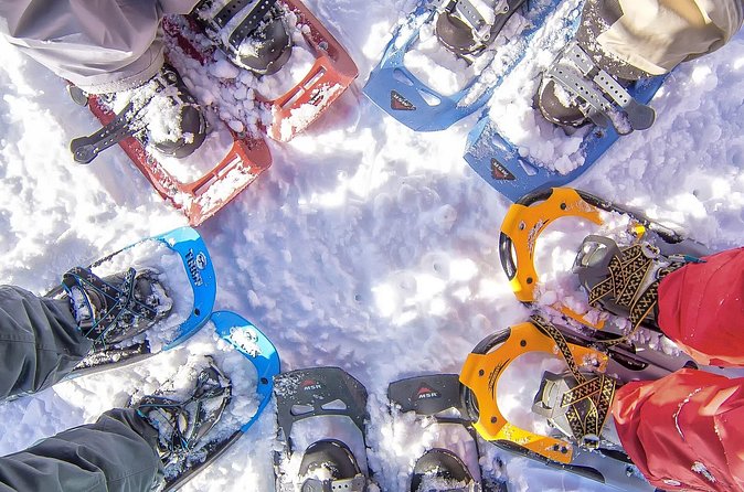 Snowshoeing in Chamonix, with a private guide - Booking, timing, and cancellation details