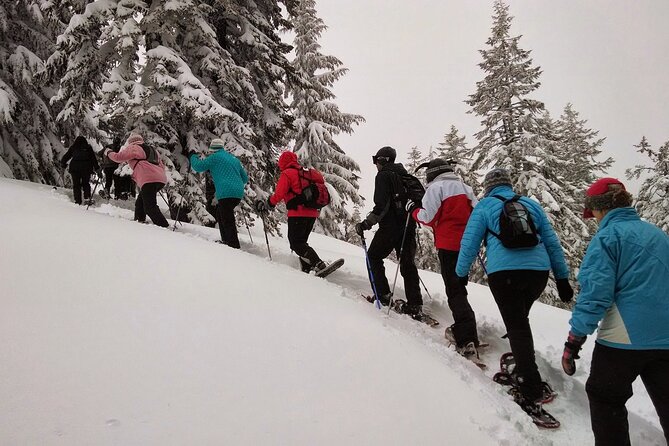 Snowshoeing in Chamonix, with a private guide - The private guide changes the feel of the day