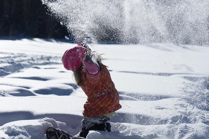Snowshoeing in Kananaskis - Key points to know before you book