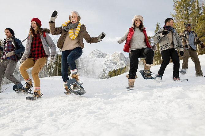 Snowshoeing in Kananaskis - Walking on snow instead of through it