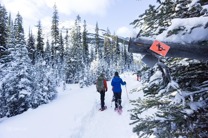 Snowshoeing in Kananaskis - Clod, Stacy, and the value of a good guide