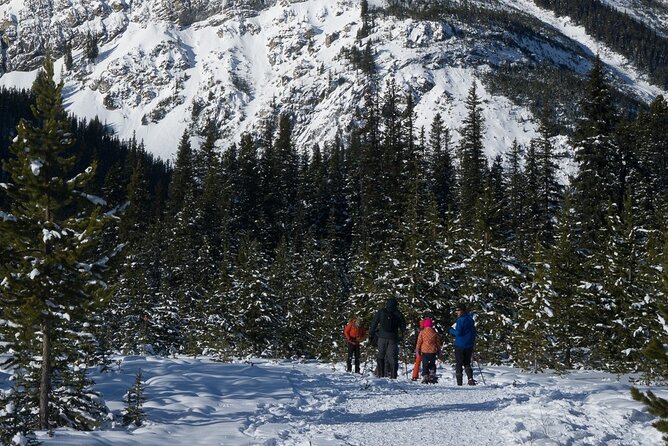 Snowshoeing in Kananaskis - A winter lesson about Kananaskis Valley