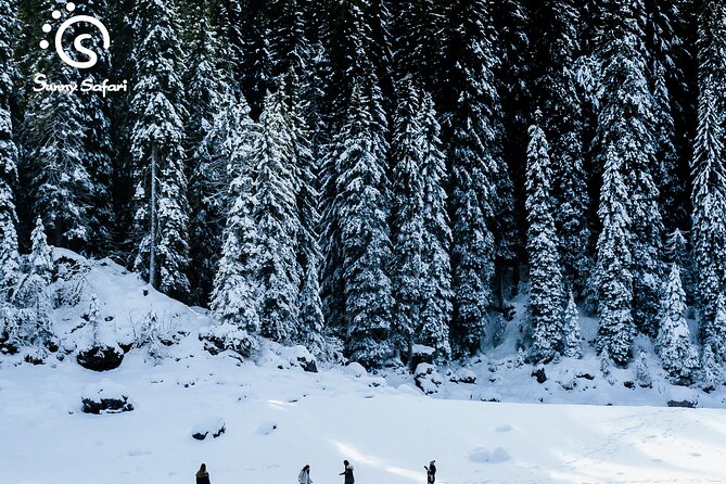 Snowshoeing in Lapland Wilderness - What the Three-Hour Schedule Really Means