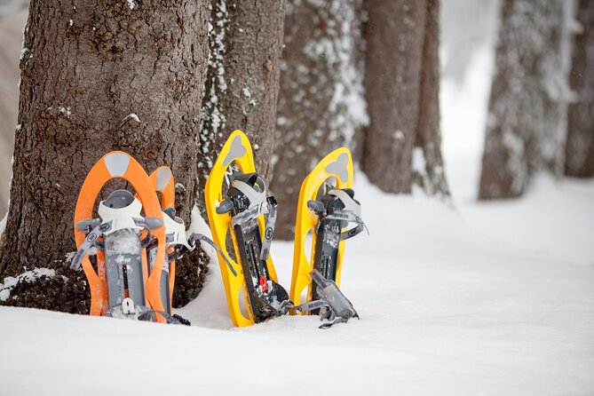 Snowshoeing in Levi - What the 2:00 pm start means