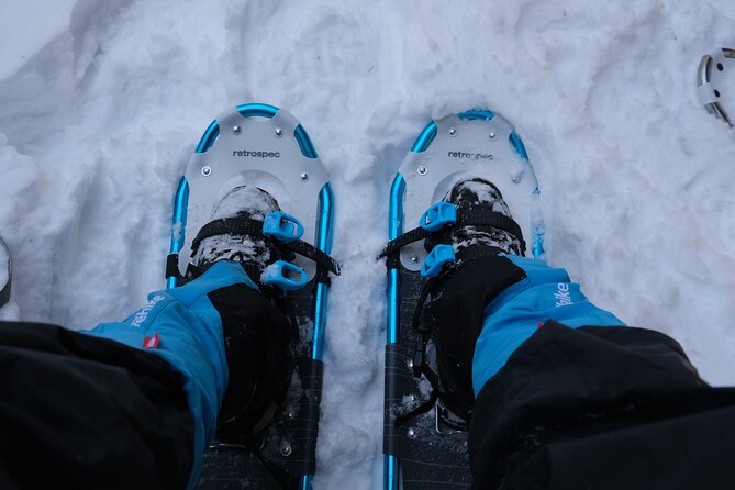 Snowshoeing in Rocky Mountains - Snowshoes, microspikes, and a lighter pack