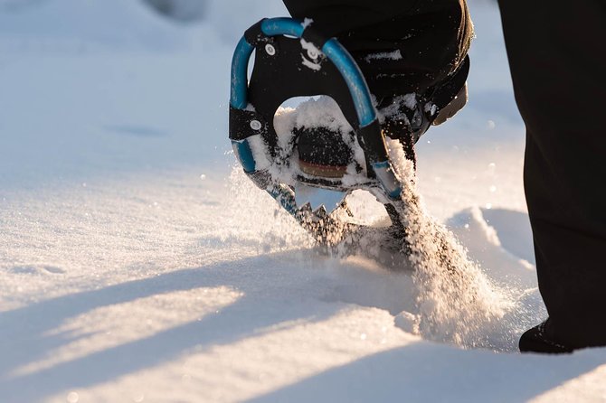 Snowshoeing in the Arctic Circle Wilderness - A campfire break with hot chocolate and sweet rolls