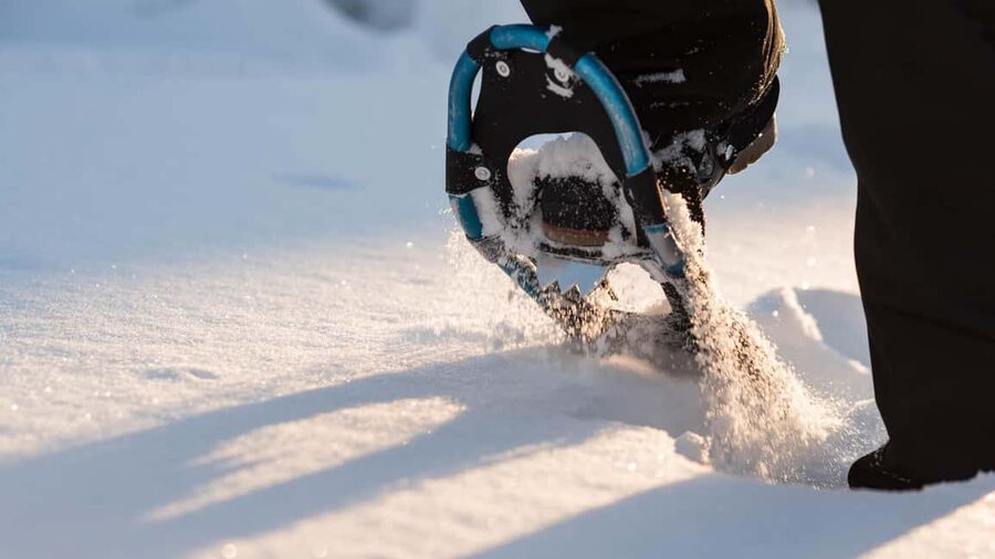 Snowshoeing in the Arctic Wilderness - Walking under white-covered trees