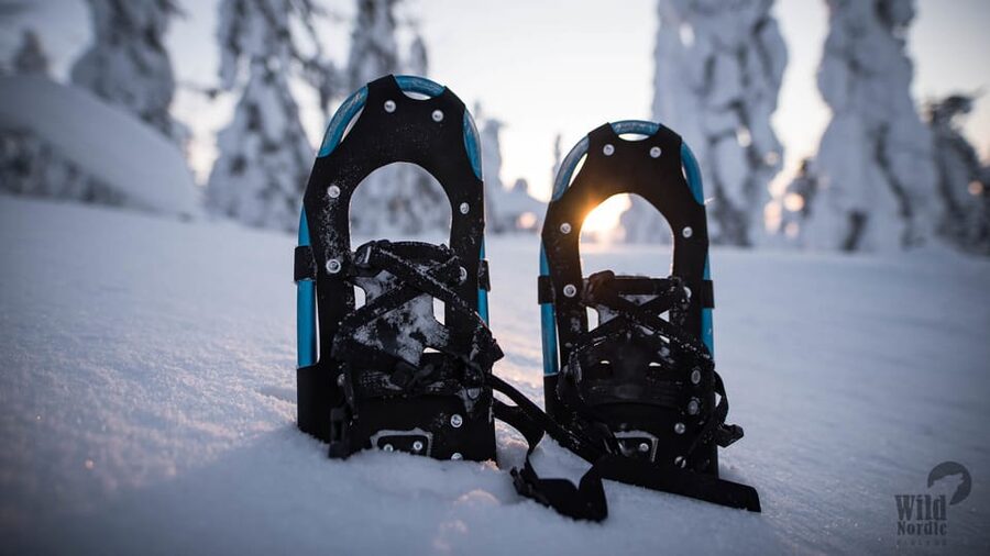 Snowshoeing in the Arctic Wilderness - The campfire stop and reindeer burgers