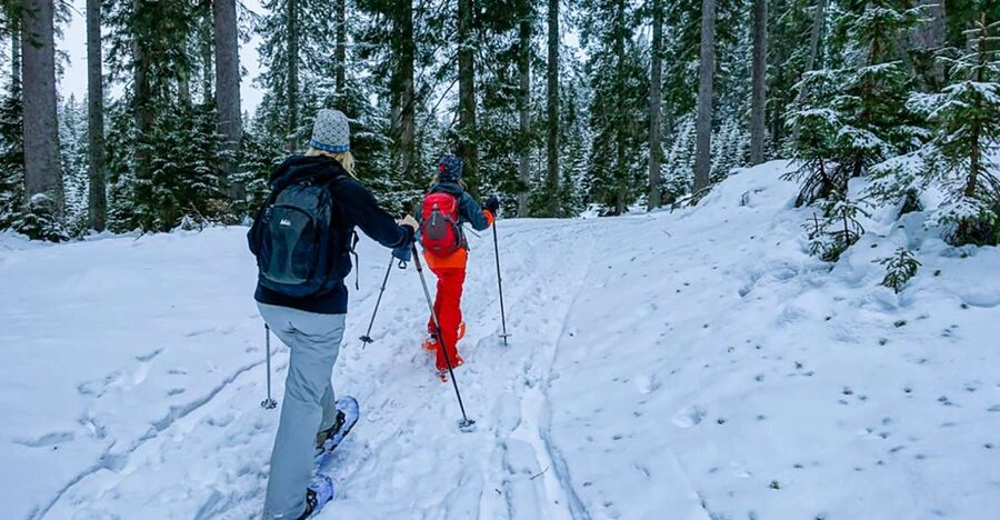 Snowshoeing in Triglav National Park - Key points to know before you book