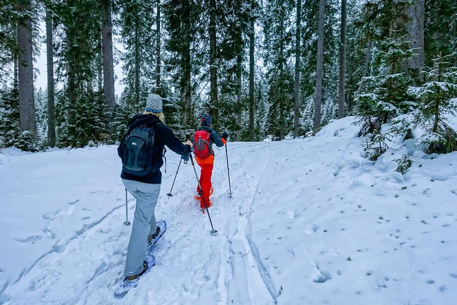 Snowshoeing in Triglav National Park - Moving through quiet, snow-covered countryside