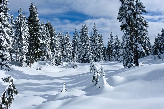 Snowshoeing In Vancouver's Winter Wonderland - Getting ready for snowshoeing