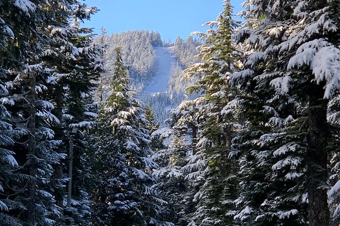 Snowshoeing In Vancouver's Winter Wonderland - The Stanley Park and Lions Gate Bridge approach