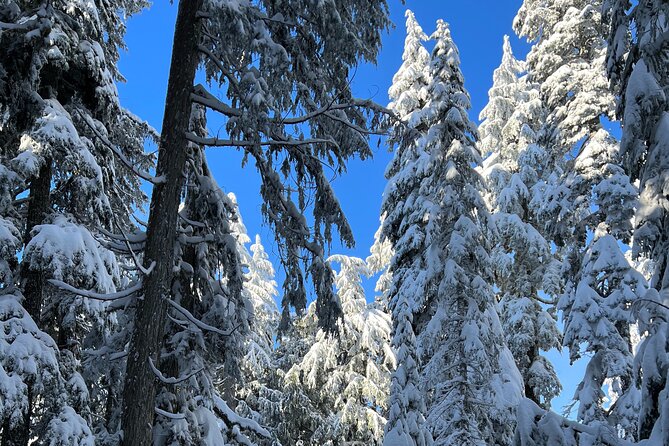Snowshoeing In Vancouver's Winter Wonderland - After the trail, a lodge stop