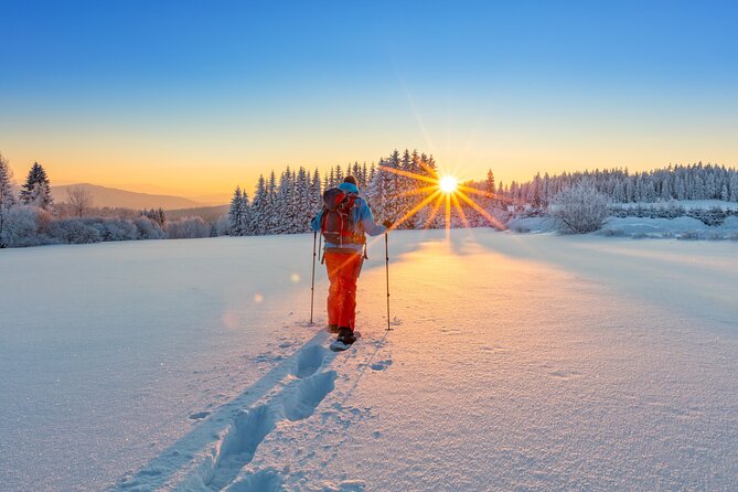 Snowshoeing In Vancouver's Winter Wonderland - Who should book this experience