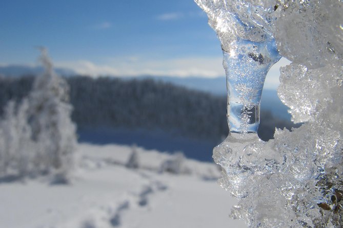 Snowshoeing on Trebevic Mountain from Sarajevo - The seven-and-a-half-hour Trebević outing