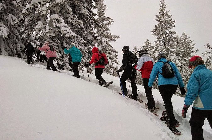 SNOWSHOEING The white walk - Walking into Rovaniemi’s white forest