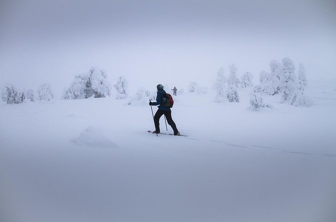 SNOWSHOEING The white walk - Price and overall value at $120.94