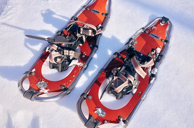 SNOWSHOEING The white walk - Who will enjoy this snowshoe walk
