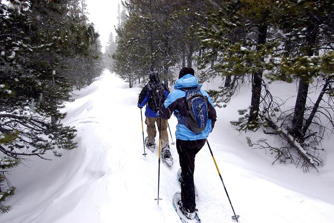 Snowshoeing Tour in Jacques-Cartier National Park - Meeting at 9am in Old Quebec