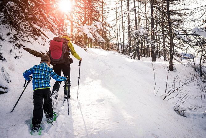 Snowshoeing Tour in Jacques-Cartier National Park - Snowy trails, short climbs, and useful pauses