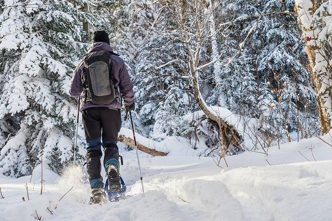 Snowshoeing Tour in Jacques-Cartier National Park - Who should book this snowshoe tour?