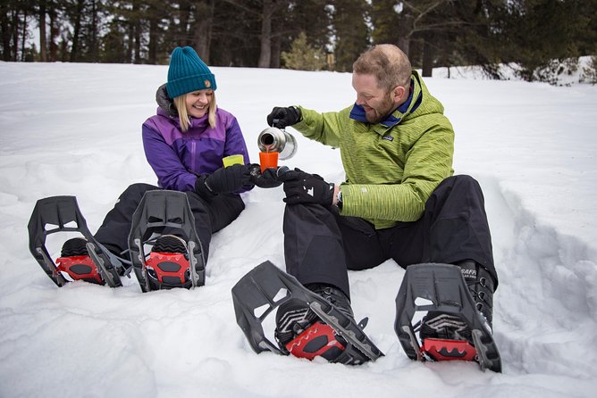 Snowshoeing Tour to the Paint Pots - How the $81.98 price works for you