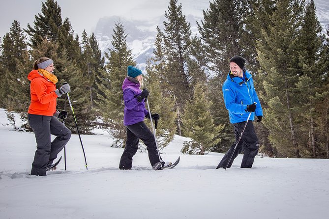 Snowshoeing Tour to the Paint Pots - Who will enjoy this tour most