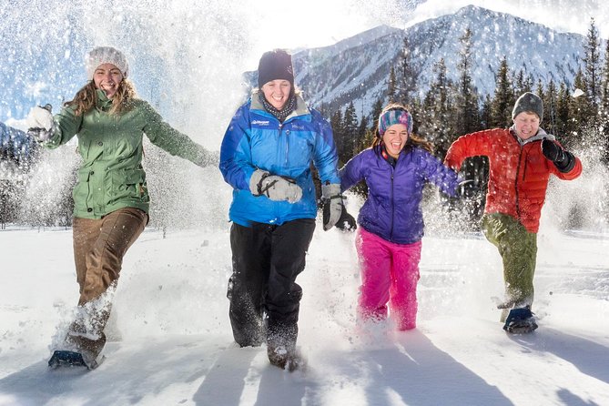 Snowshoeing Tour to the Paint Pots - Guides shape the afternoon