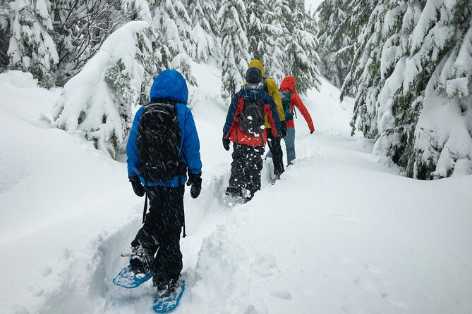 Snowshoeing tour with Wild Lunch - Leaving Rovaniemi for a Quiet Winter Forest