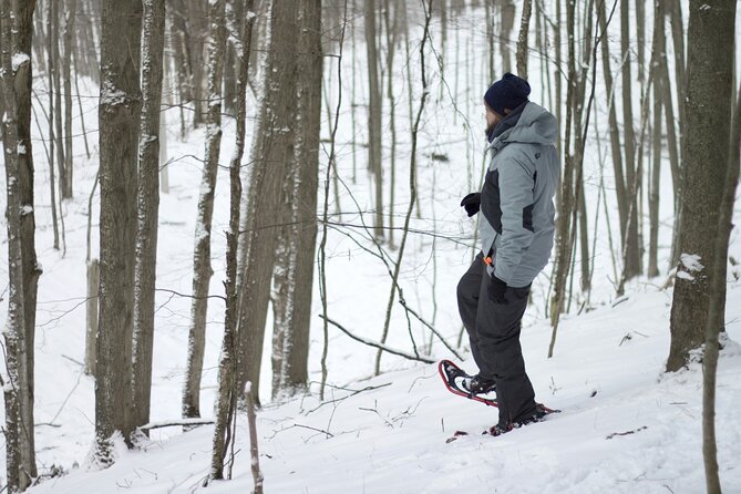 Snowshoeing tour with Wild Lunch - Is the $95.53 Price Good Value?
